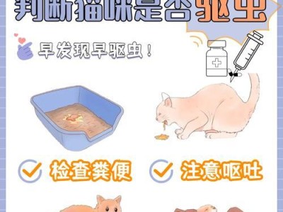 打虫的最佳时间及相关注意事项（保护植物健康，选择合适的防治时机）