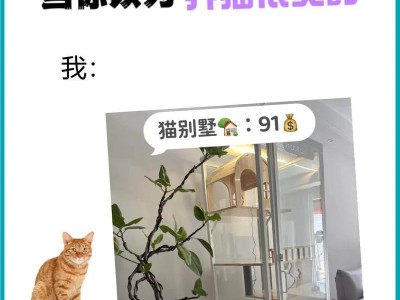 身价贵的猫咪（打工人别碰！这些猫咪可是身价不菲）