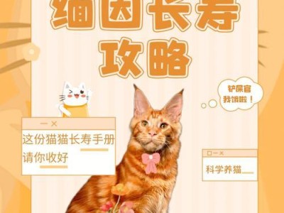 了解缅因猫（缅因猫的特点和养殖要点）