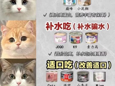 养猫必备物品，少买这几种不实用的，浪费钱没必要！（了解哪些物品真的用不上，省下宝贵金钱。）
