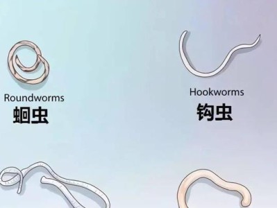 狗狗驱虫后仍然抓痒的原因（揭秘狗狗驱虫后抓痒的真相）