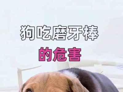 小狗换牙的过程及时长（了解小狗换牙周期，关注它们的牙齿健康）