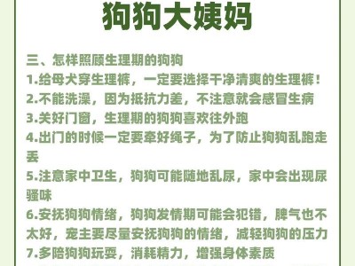 狗狗月经（了解你的宠物）