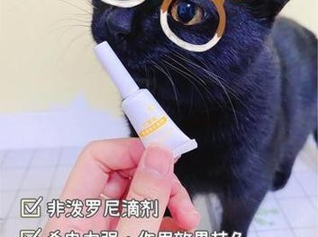 宠物猫驱虫费用及相关注意事项（家猫驱虫的常见费用和注意事项）