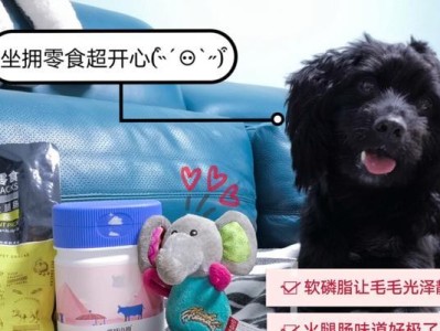 狗狗走路无力，该吃什么药物？（解决狗狗无力行走的有效药物及注意事项）