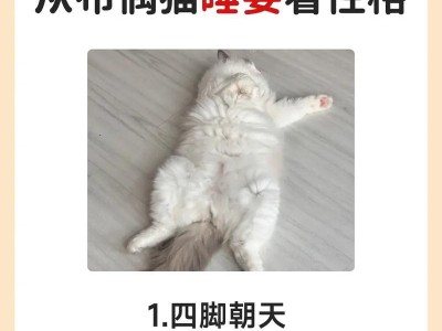 从猫咪的睡姿看出其健康状况（揭示猫咪睡姿的秘密及对健康的影响）