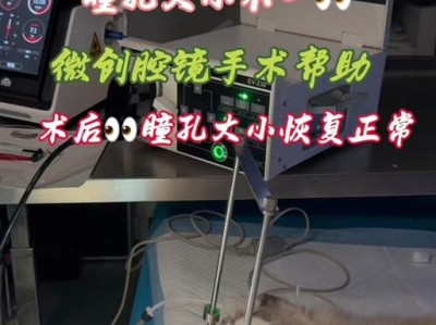 猫咪眼睛一大一小（了解猫咪异瞳的原因及康复方法）