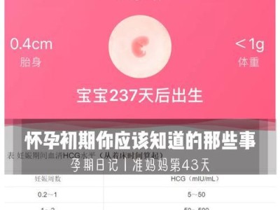 狗狗孕吐（了解狗狗怀孕期间的孕吐症状和处理方法）