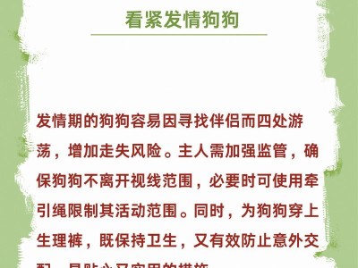 母犬发情周期及其重要性（解密母犬发情周期，了解繁殖的奥秘）