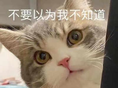 揭秘猫咪的“克星”，引发发抖的神秘物品（这些东西让猫咪发抖不已，一定要小心哦！）