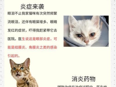 猫咪流眼泪的原因及护理方法（了解猫咪流眼泪的原因以及如何正确护理它们）
