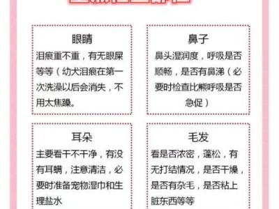 金毛喂养五部曲（正确喂养金毛犬的关键是根据不同阶段的需求进行饮食调整）