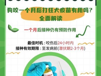 狗狗接种4联疫苗的最佳时间及注意事项（探究狗狗接种4联疫苗的时机，守护宠物健康）