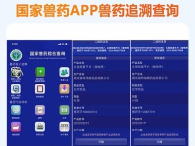 猫咪消炎药使用时长及注意事项（正确使用猫咪消炎药的关键是什么？）