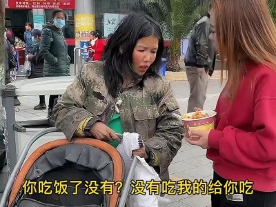 流浪犬（曲靖街上流浪犬的现状与解决方案）
