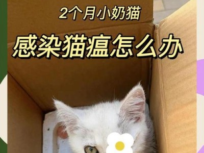 猫瘟后的家庭彻底消毒指南（如何安全地引进新成员？）