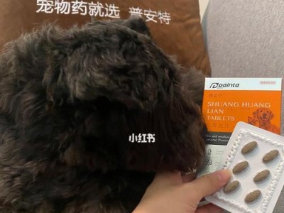 狗狗肚子大怎么办？药物治疗与预防方法一览（详解狗狗肚子大的原因及治疗方案）