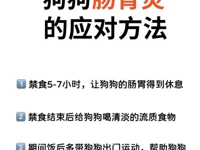 狗狗肠胃炎治疗方法及药物推荐（以合适的方式照顾狗狗恢复健康）