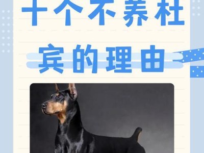 杜宾剪耳后多久能够立起来？（探究杜宾剪耳手术对立耳恢复时间的影响及注意事项）
