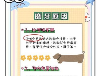 狗磨牙棒的使用频率及注意事项（狗磨牙棒的健康推荐和正确使用方法）