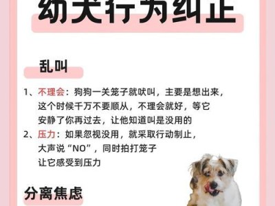 如何正确地惩罚狗狗？（培养狗狗良好行为的有效方法）
