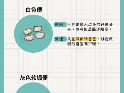 狗狗软便的原因及解决方法（探究狗狗软便的可能因素，教你如何有效解决）