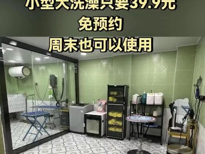 狗洗澡的最佳频率是多久一次？（探究宠物店给狗洗澡的最佳时间间隔及注意事项）