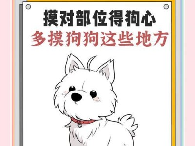 正确抚摸陌生狗狗的方法——以别以为狗狗可爱，就可以乱来（保护自己和狗狗的安全，培养友好亲密的关系）