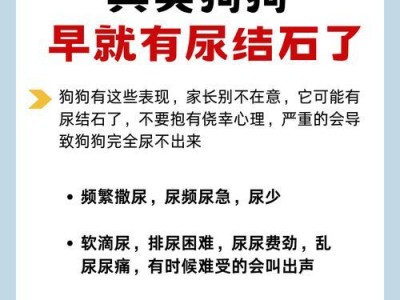 狗膀胱结石（了解狗膀胱结石的症状与预防措施，保护你的爱犬的健康）