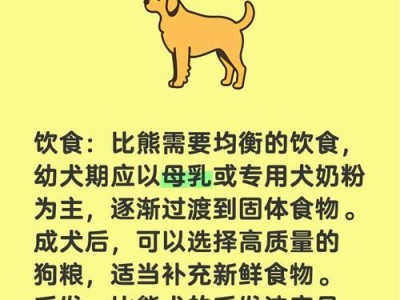 比熊的健康饮食指南（选择合适的狗粮和喂养频率，让比熊健康快乐）