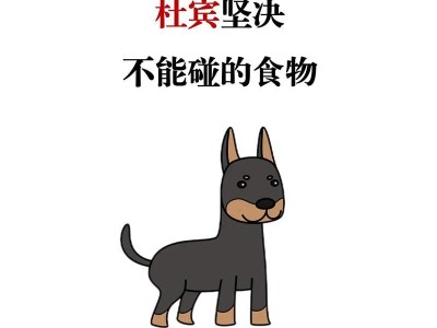 以德牧立耳的重要性（培养德行对于发展立耳能力的关键）