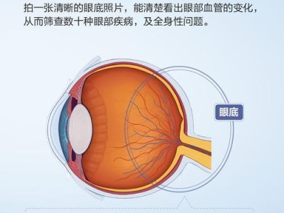 老龄宠物定期体检的重要性（保障宠物健康，延长宠物寿命）