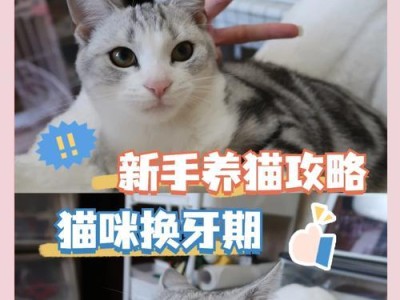 猫咪换牙需要多长时间？（了解猫咪换牙的周期及相关知识）