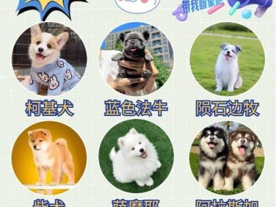 8种便宜、好养、颜值还很高的狗狗推荐及饲养方法（发现宠物世界中的超值小伙伴，让你爱不释手）