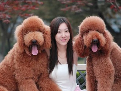 小狗适合喝羊奶粉吗？（羊奶粉对于刚出生的小狗的营养需求有何作用？）