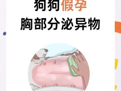 狗狗吃到异物后多久可以排除？（了解狗狗异物排除时间的关键因素）