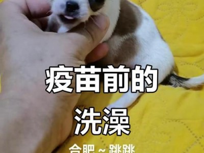小狗第一次疫苗注射的重要性（保护宝贝，从第一针开始）