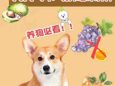 哈士奇分娩后的饮食需求（宠物主人必知，哈士奇产后如何合理搭配饮食）