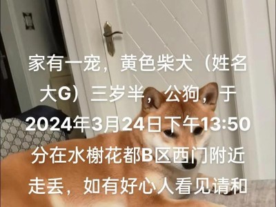 柴犬生产后的注意事项（小狗健康成长的关键和必备知识）