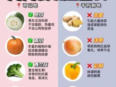 小狗可以吃哪些人类食物？（了解适合小狗的健康饮食）