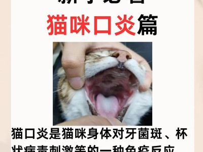 猫的常见病毒及预防措施（了解猫的病毒，让它们健康快乐生活）