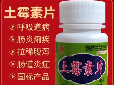 狗狗肚子大怎么办？（有效药物缓解狗狗肚子大的不适）