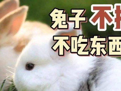 小白兔为何无法正常排便？（探究小白兔不大便的原因与解决方法）