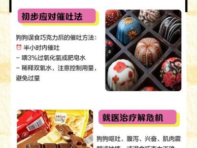 狗狗吃巧克力后的安全时间（揭秘巧克力对狗狗的致命危害及预防措施）