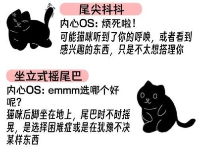 揭秘猫咪摇尾巴的心情密码（从尾巴摇动解读猫咪内心情绪，借此加深人与宠物的情感交流）