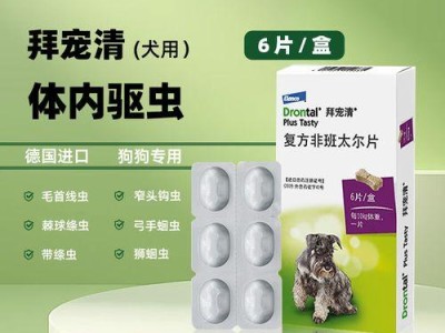 泰迪体外体内驱虫药的使用时长及注意事项（养泰迪宠物的关键）