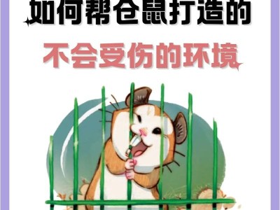 科学饲养仓鼠，打造健康快乐宠物生活（仓鼠的饲养技巧与注意事项）