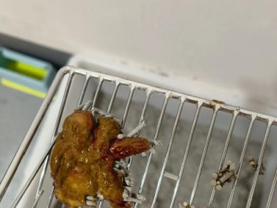 猫咪大便带血的原因（了解猫咪大便带血的常见原因及处理方法）