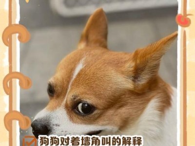 狗的品种并不能完全决定其行为方式（探究狗的品种与行为之间的关系及其他因素的影响）