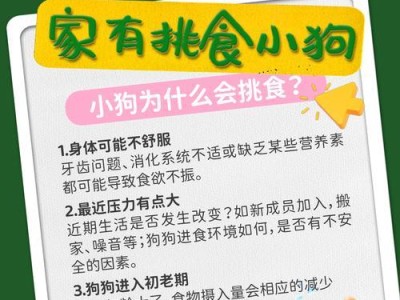小狗吃狗粮需泡多久？（合理泡发狗粮的关键是时间。）